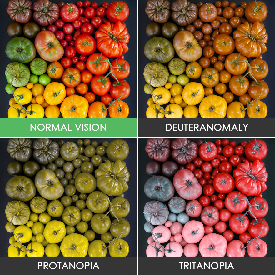 What do color blind people see