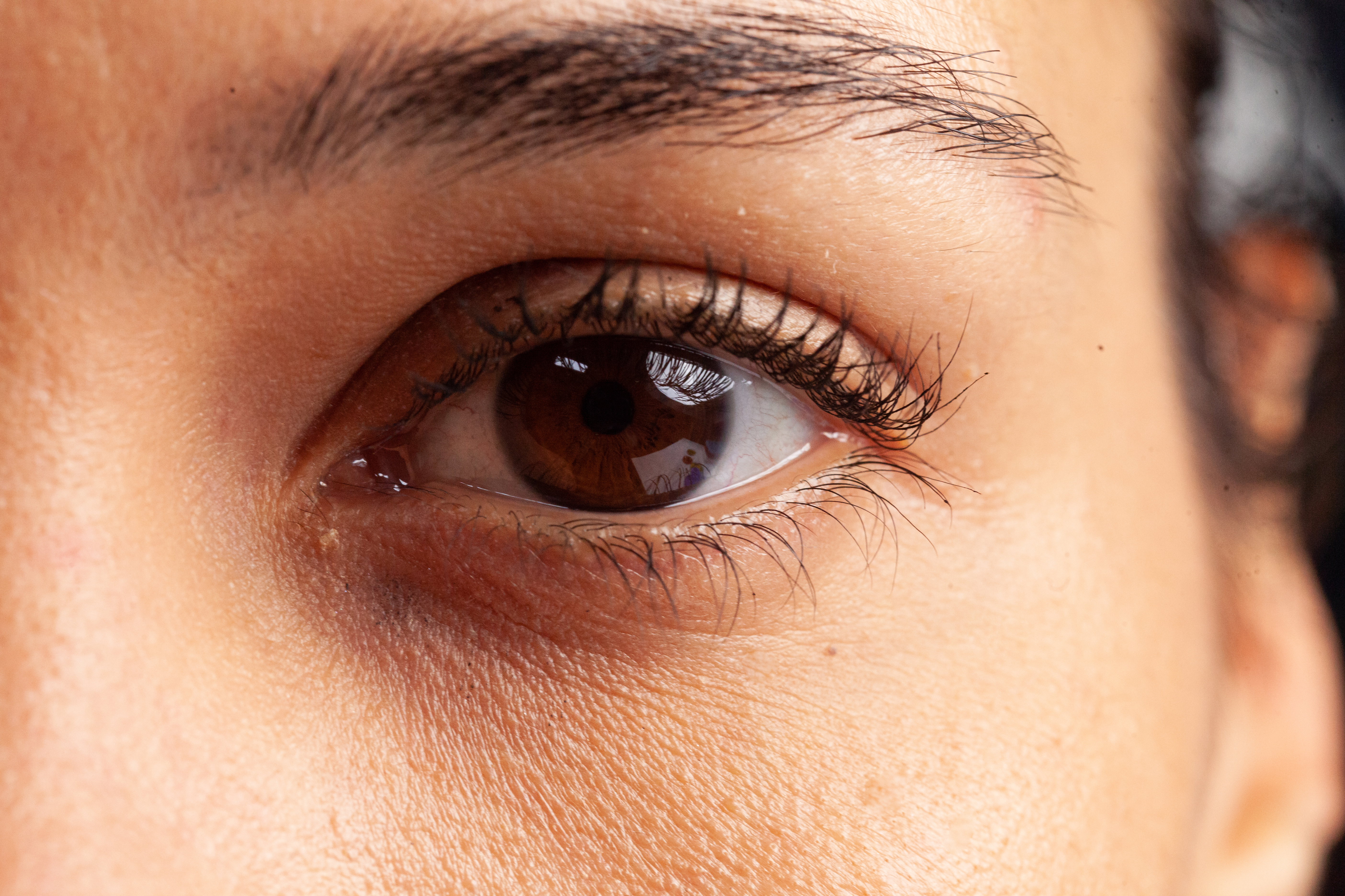Close up of feminine eye with eyelashes and eyebrows
