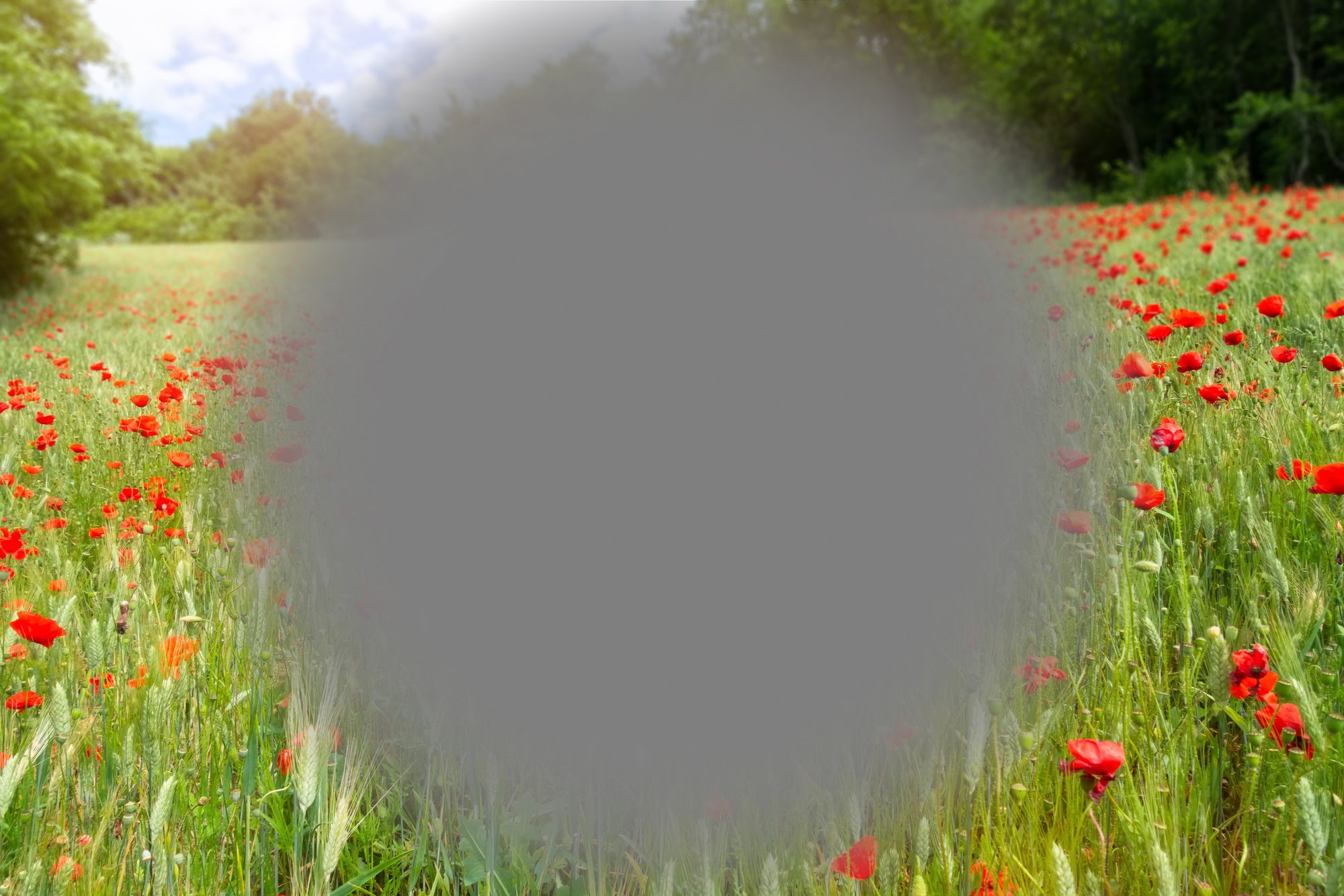 Symptom of amd