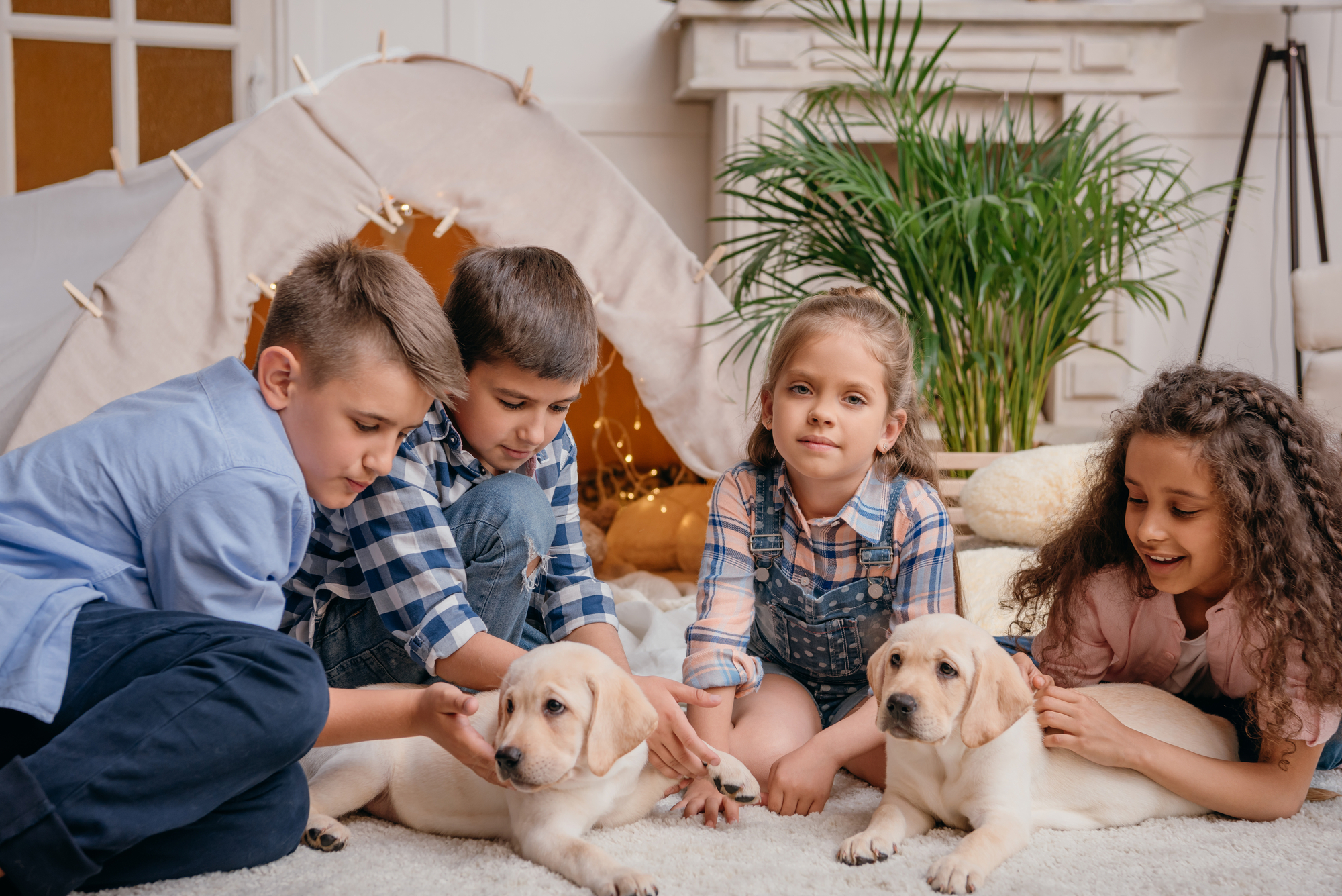 Multiethnic visually impaired or almost blind children with labrador puppies